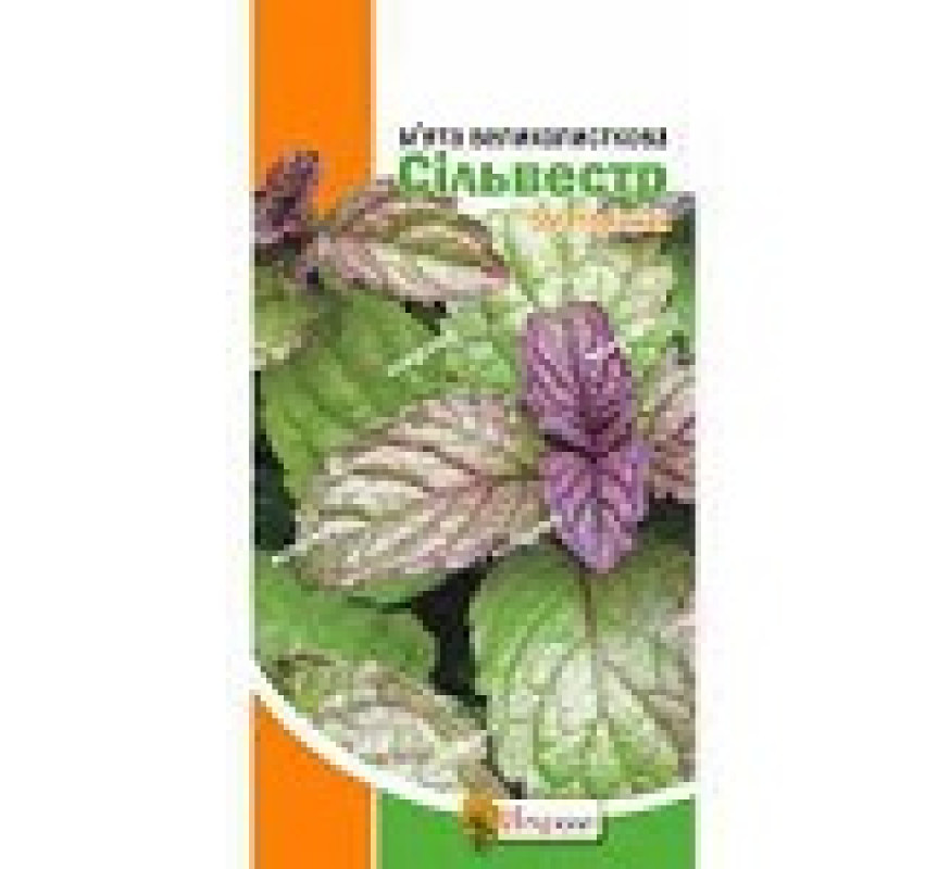 Мята крупнолист Сильвестр Яскрава 0,05г