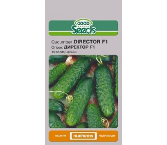 Огірок Director F1 GS 10 нас