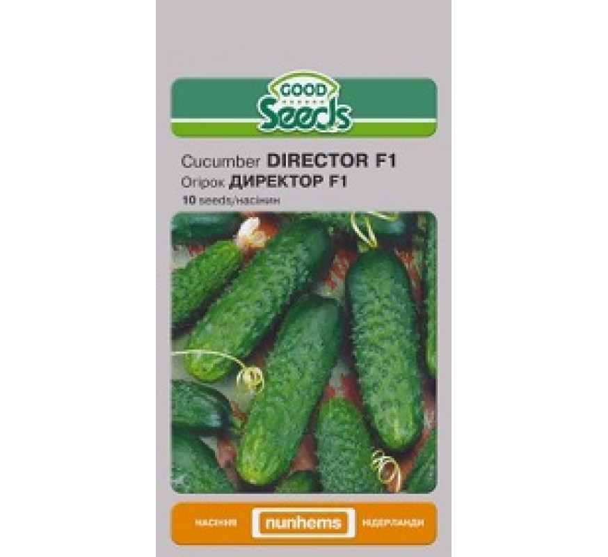 Огурец Директор F1 GS 10 сем