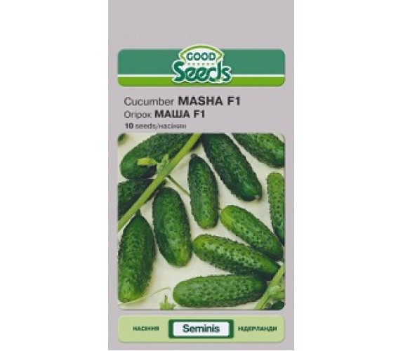 Огірок Маша F1 GS 10 нас