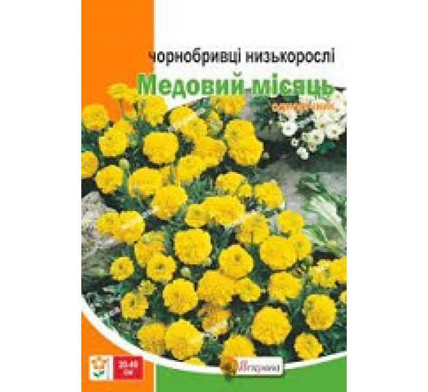 Бархатцы низькоросл Медовый месяц Яскр 5