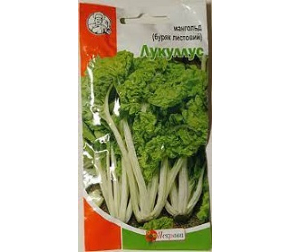 Мангольд (буряк листовой) Лукуллус Яскра