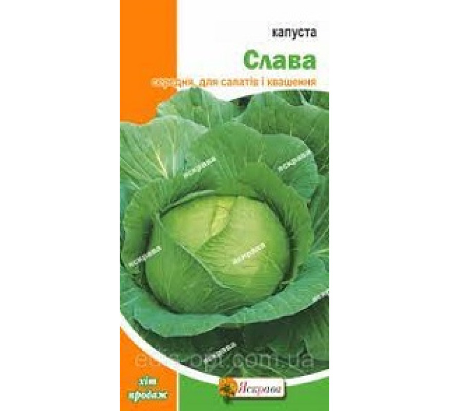 Капуста б/к Слава Яскрава 0,5 г