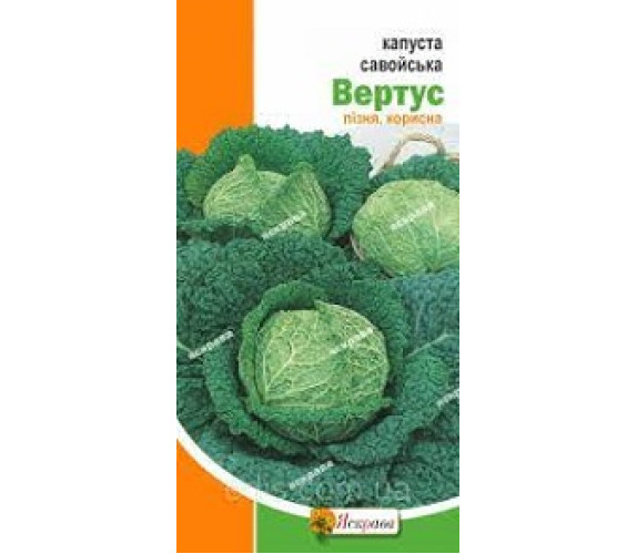 Капуста Савойська Вертус Яскрава 0,5 г