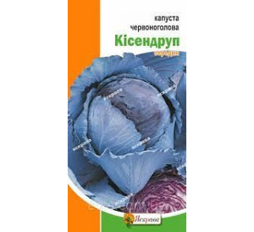 Капуста ч/г Кісендруп Яскрава 0,5 г
