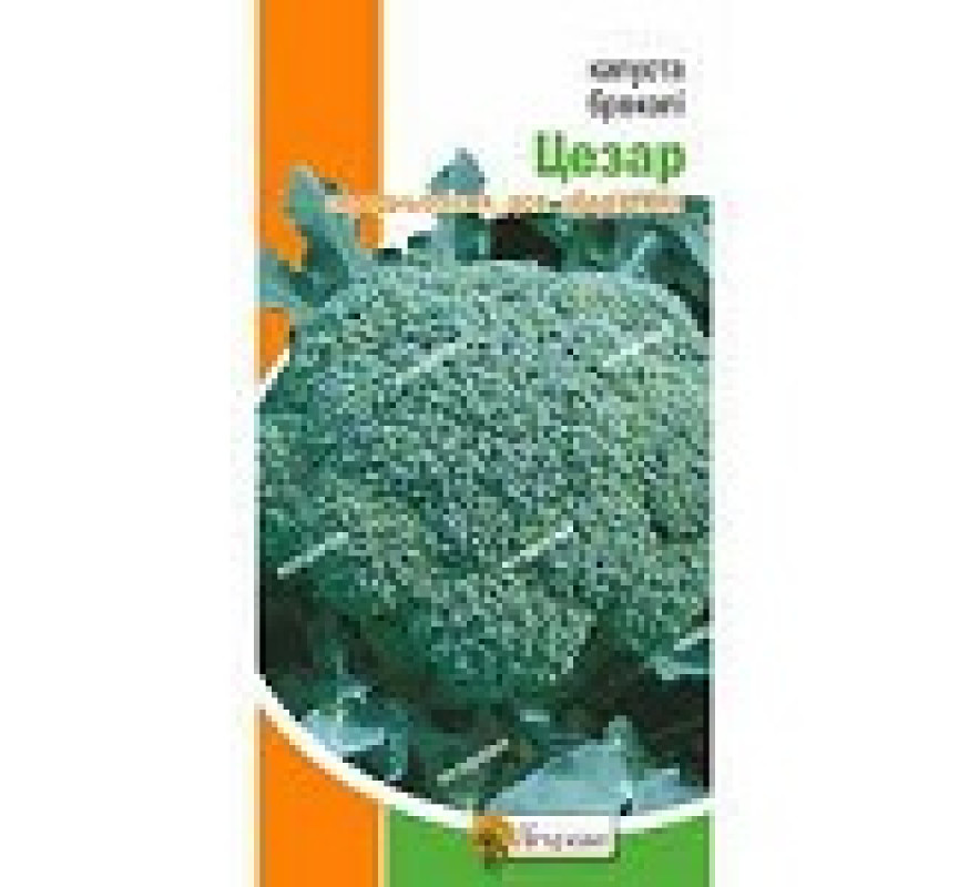 Капуста Броколі Цезар Яскрава 0,5 г