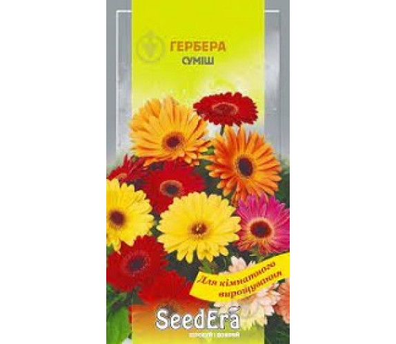 ,Квіти Гербера суміш кімн Seedera 5 шт