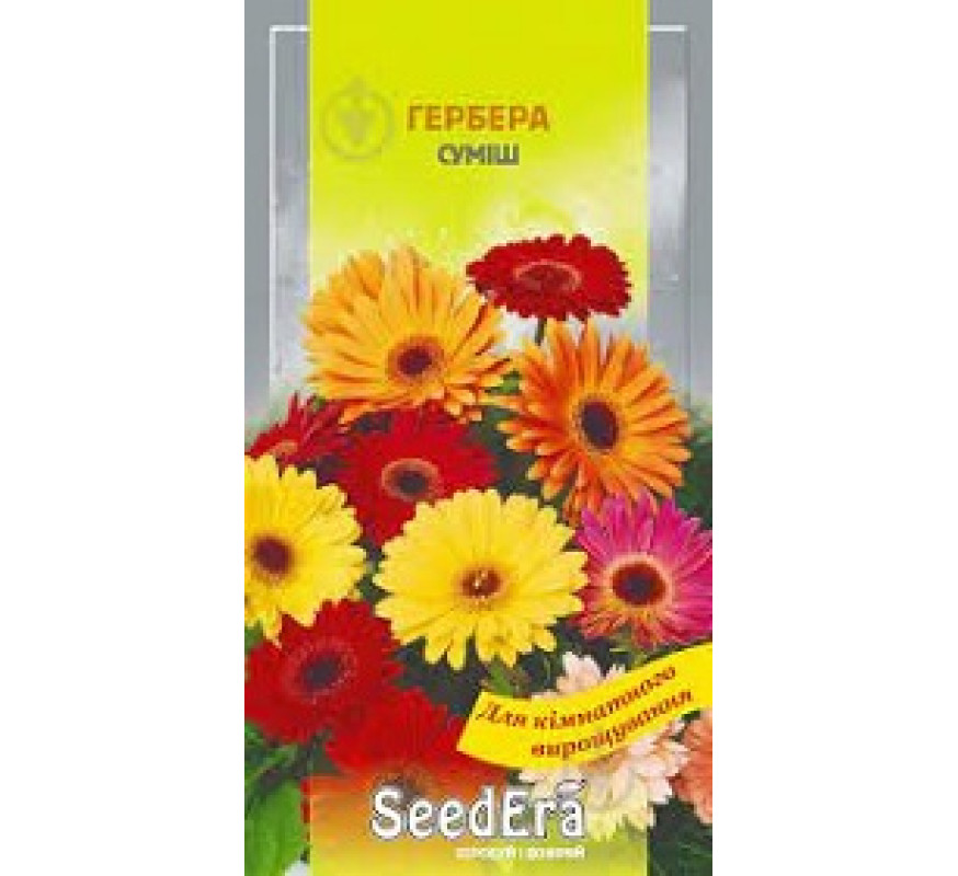 ,Квіти Гербера суміш кімн Seedera 5 шт