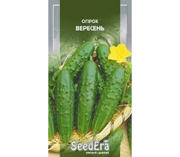 Огірок Вересень Seedera 10 г Огірок Вересень Seedera 10 г