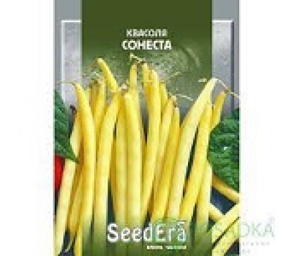 Квасоля Сонеста спаржева кущова SeedEra 20