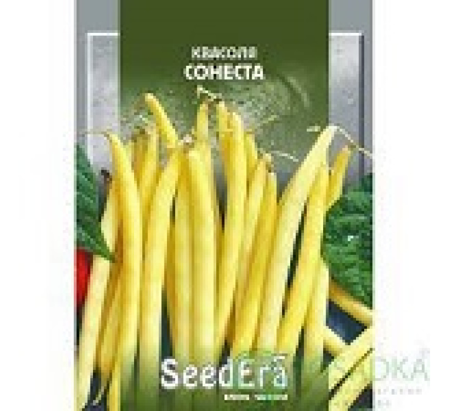 Квасоля Сонеста спаржева кущова SeedEra 20