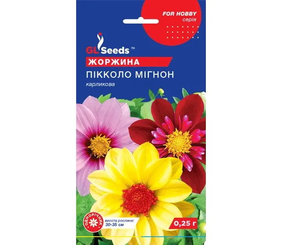 Жоржина Пікколо мігнон карликова GL Seeds 0,25 г Жоржина Пікколо мігнон карликова GL Seeds 0,25 г