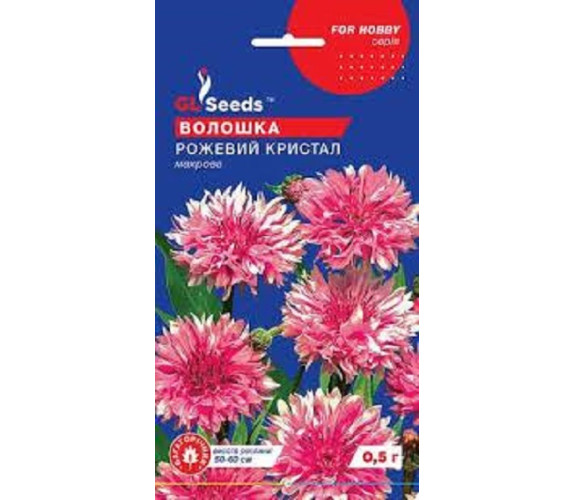 Василек махр Розовый кристалл GLSeeds