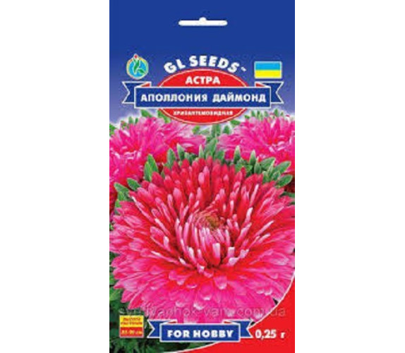 Айстра Аполонія даймонд хризантемовидна GLSeeds 0.