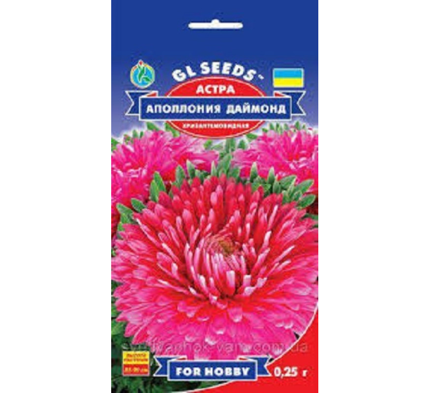 Айстра Аполонія даймонд хризантемовидна GLSeeds 0.
