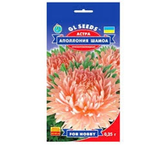 Айстра Аполонія Шамоа хризантемовидна GLSeeds 0.25
