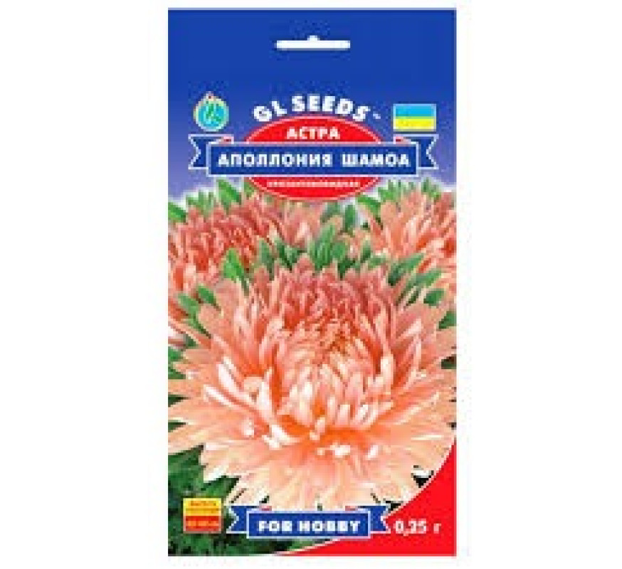 Айстра Аполонія Шамоа хризантемовидна GLSeeds 0.25