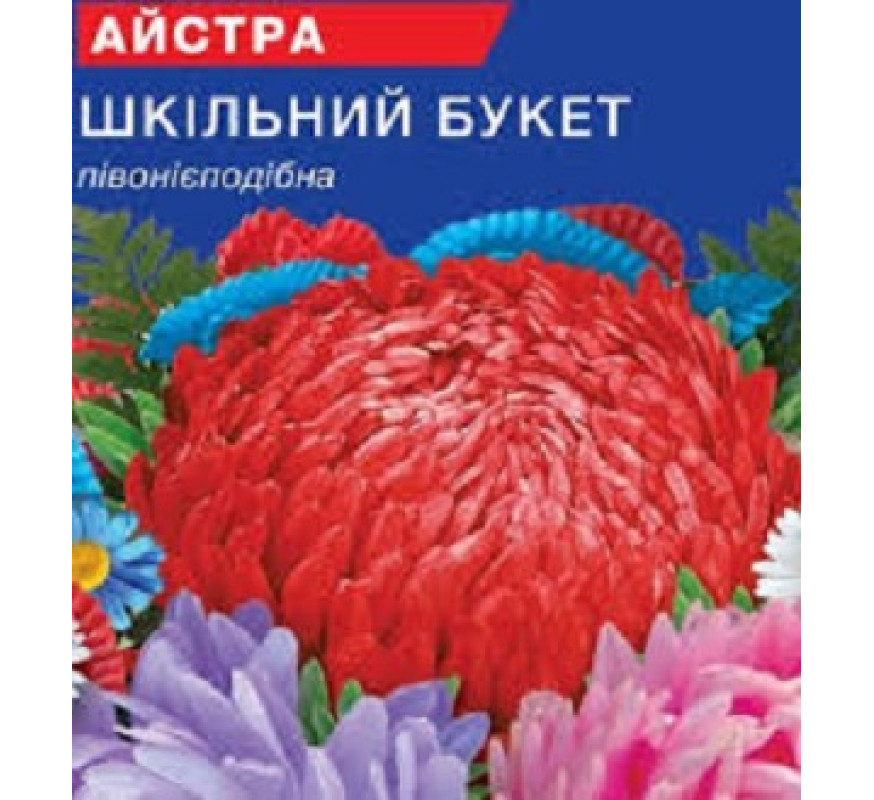 Астра пионовидн Школьный букет GLseeds