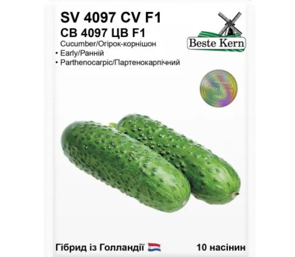Огірок SV 4097 CV F1 Beste Kern 10нас Голандія