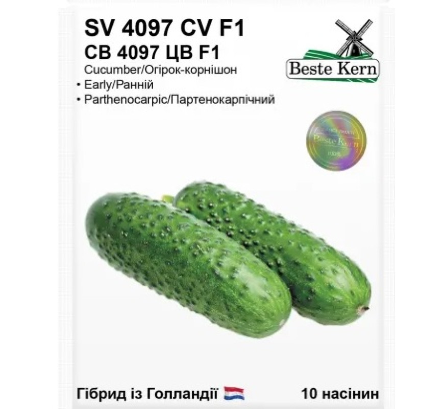 Огірок SV 4097 CV F1 Beste Kern 10нас Голандія