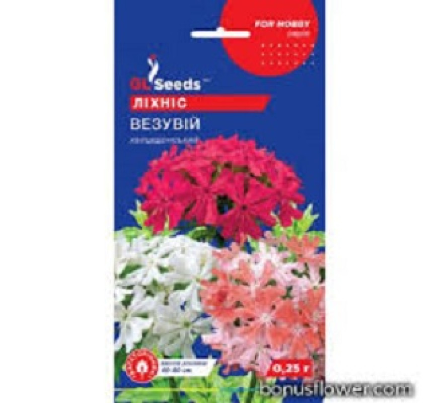Ліхніс Халцедонський Везувий GL Seeds 0.25 г
