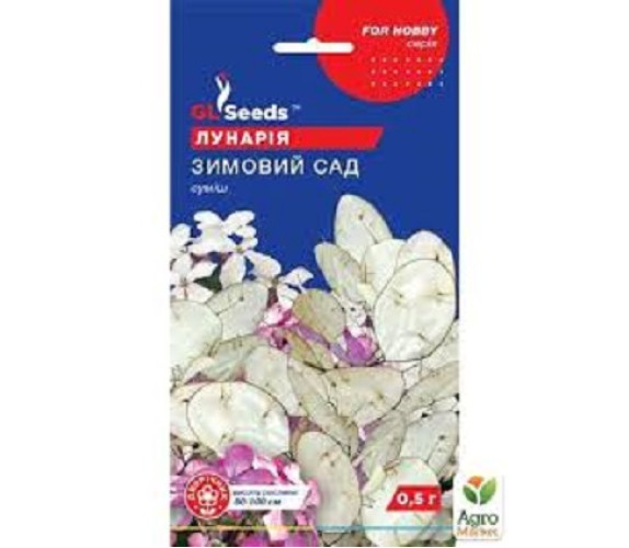 Сухоцвіт Лунарія Зимовий сад GL Seeds 0.5 г