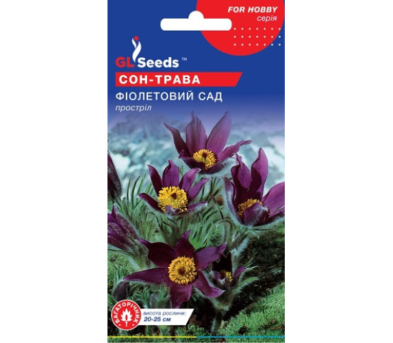 Сон-трава(простріл) Фіолетовий сад GL Seeds 0.1 г Сон-трава(простріл) Фіолетовий сад GL Seeds 0.1 г