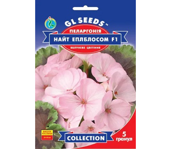 ,Квіти Пеларгонія Найт Еплблосом F1 GLSeeds 5грану
