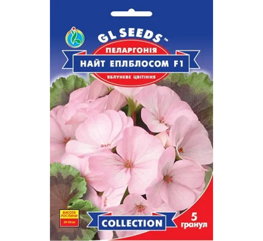 ,Квіти Пеларгонія Найт Еплблосом F1 GLSeeds 5грану