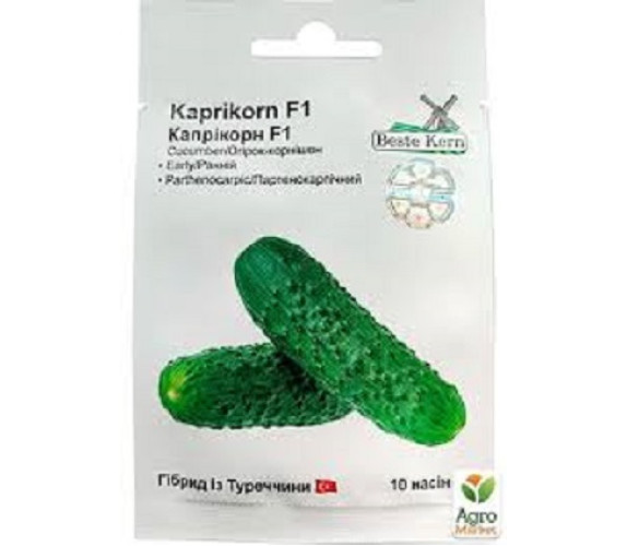 Огірок Kaprikorn F1 Beste Kern 10нас Голандія