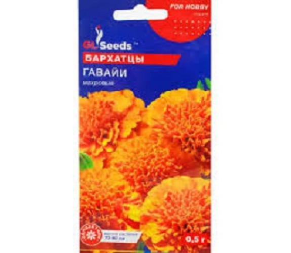 Бархатцы Гаваи махр прямостояч GLSeeds