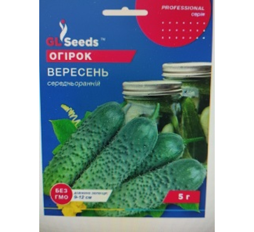 Огірок Вересень GLSeeds 5.0г