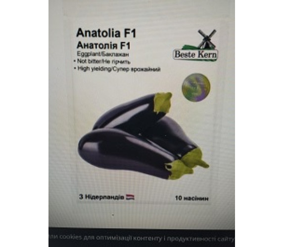 Баклажан Anatolia F1 Beste Kern Голанд 10 насінин