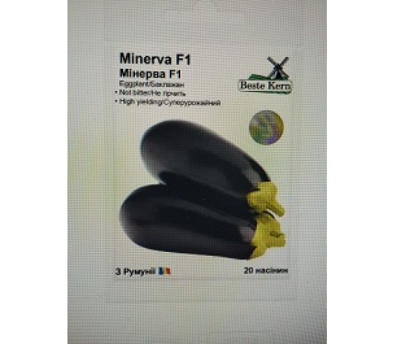 Баклажан Minerva F1 Beste Kern Румун 20 насі