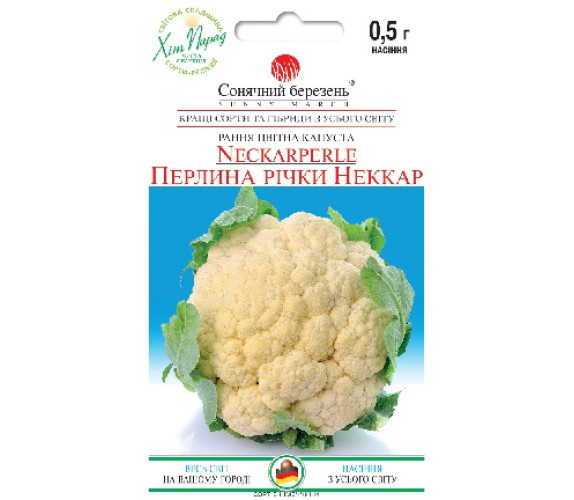 Капуста цвітна Жемчужина реки Неккар Сон Капуста цвітна Жемчужина реки Неккар Сон