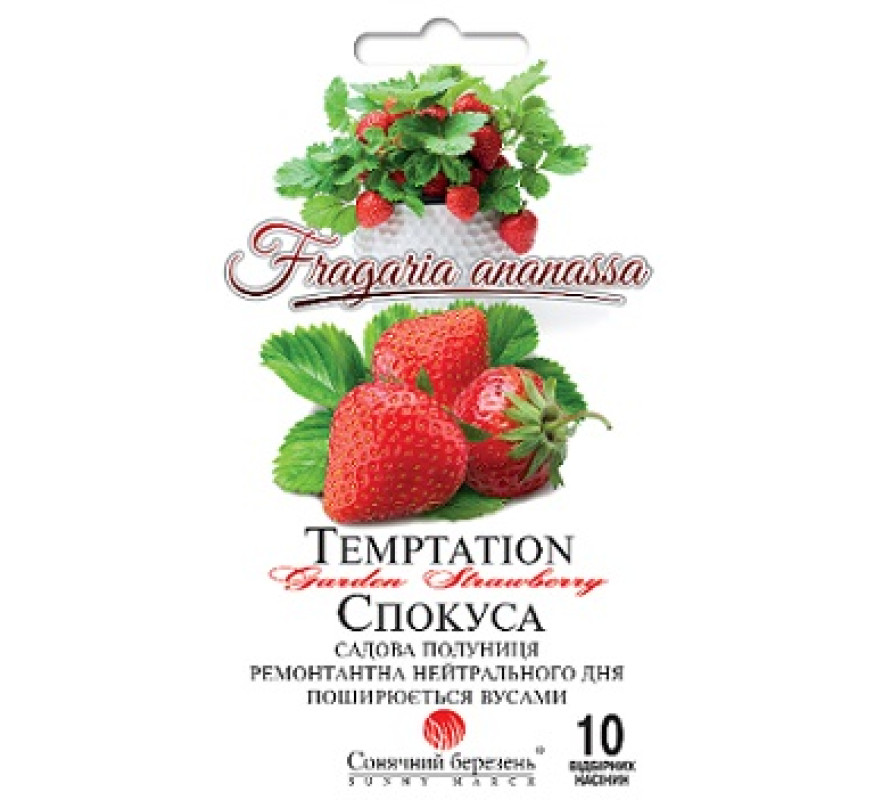 Клубника Искушение Сон март 10нас