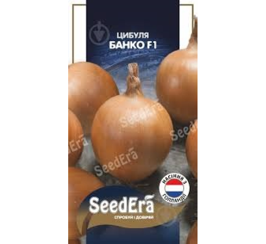 Цибуля ріпчаста Банко F1 Seedera 100шт