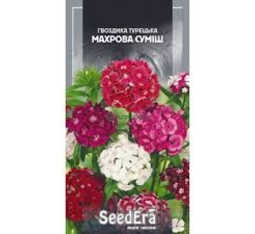 Гвоздика Турецька махрова суміш Seedera 0,5 г