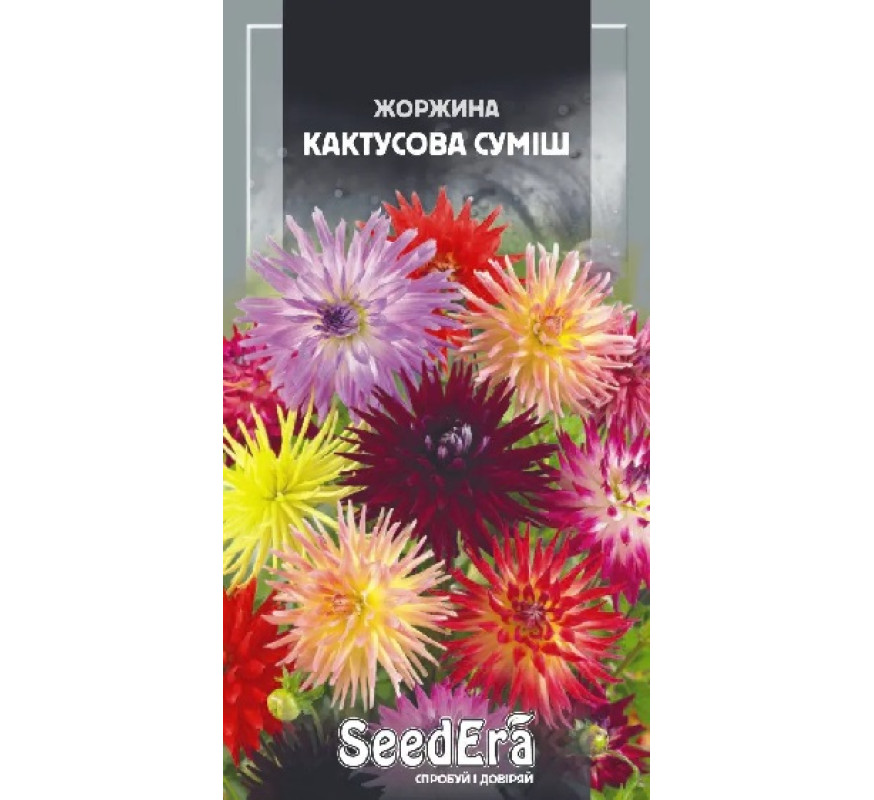 Жоржина Кактусова суміш Seedera 0,3г
