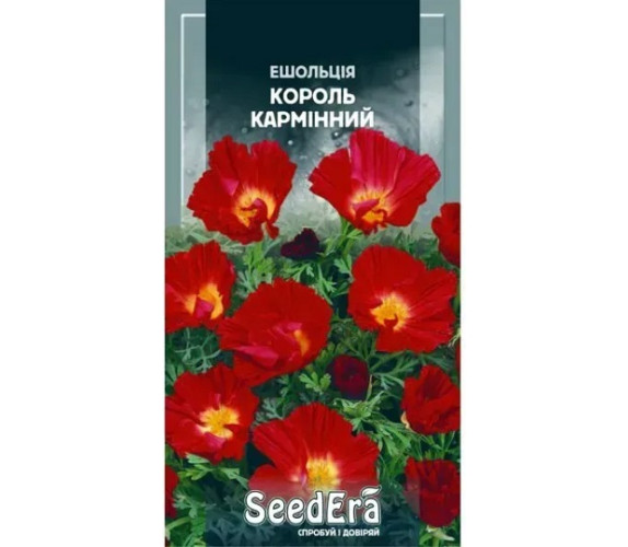 Эшшольция Калифорнийськая Король кармин Эшшольция Калифорнийськая Король кармин
