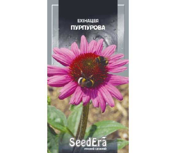 Ехінацея пурпурова багаторічна Seedera 0,5г