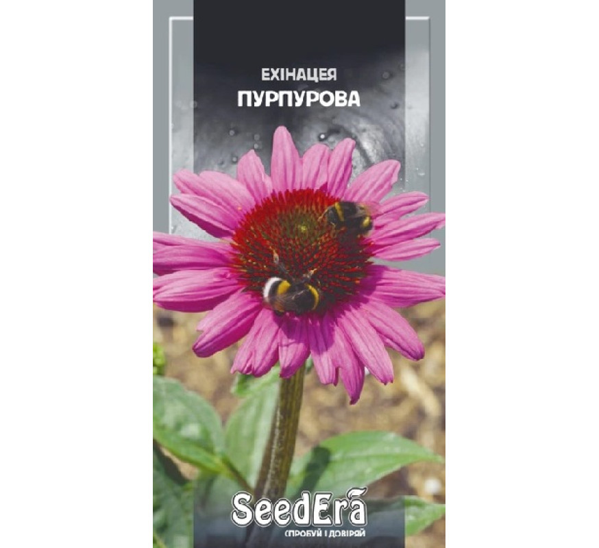 Ехінацея пурпурова багаторічна Seedera 0,5г