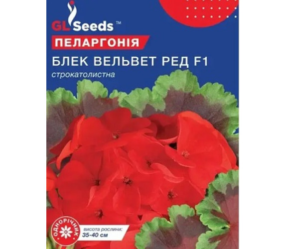 ,Квіти Пеларгонія Блек Вельвет F1 GL Seeds 5гранул