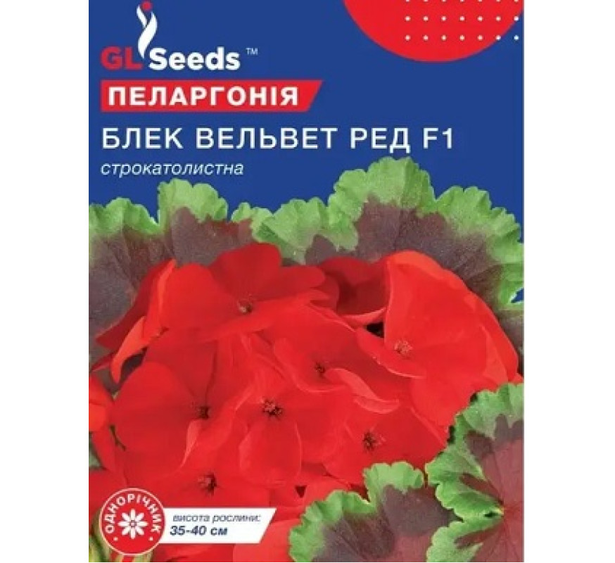 ,Квіти Пеларгонія Блек Вельвет F1 GL Seeds 5гранул