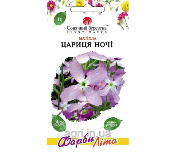 Матіола Цариця ночі Сон березень 1г
