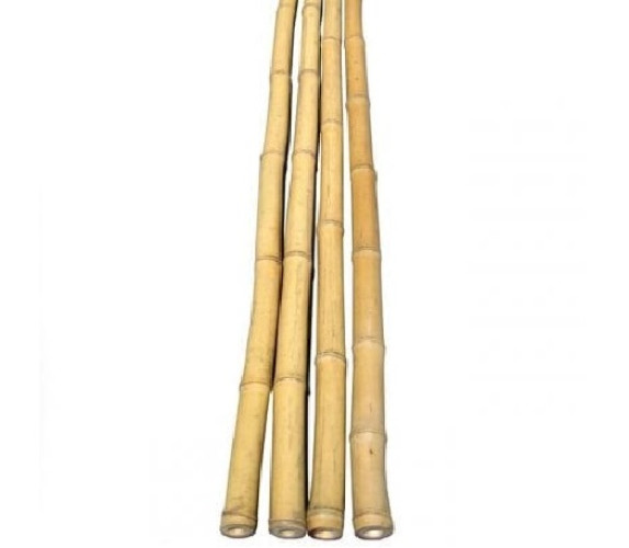 Опора бамбук 60см 14-16 мм KB60.14-16